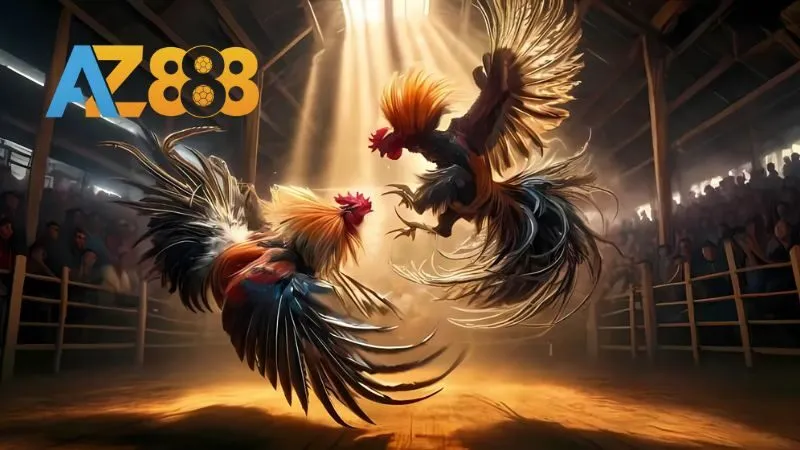 Truyền hình trực tiếp sắc nét