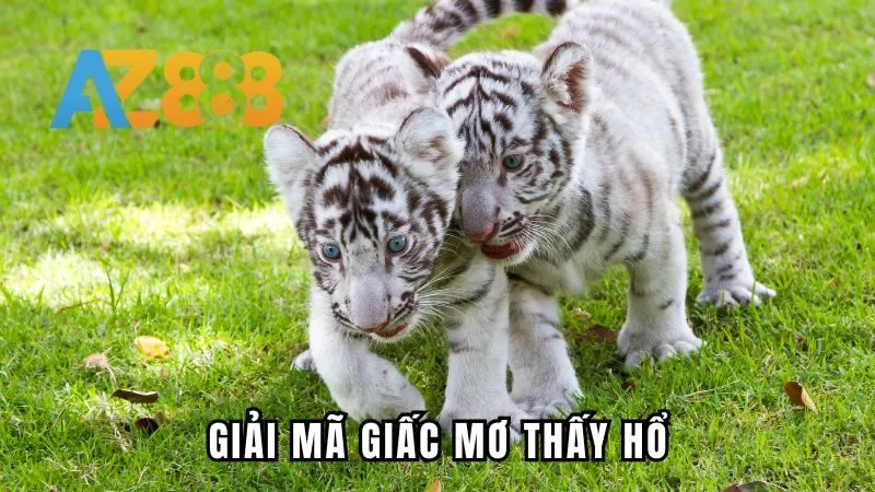 Giải mã chi tiết về giấc chiêm bao thấy hổ