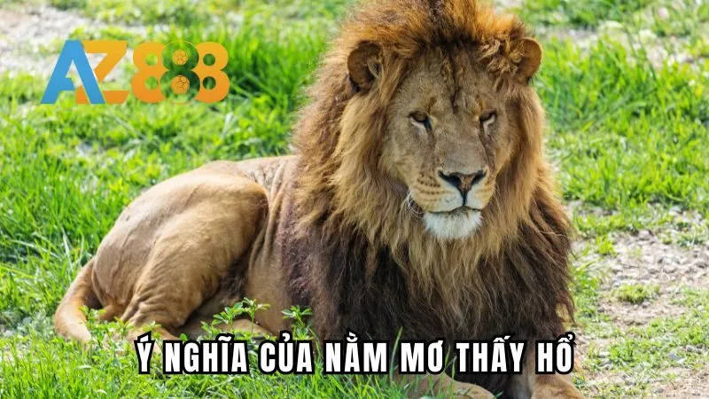 Đôi nét giới thiệu về ý nghĩa biểu trưng của hình ảnh con hổ